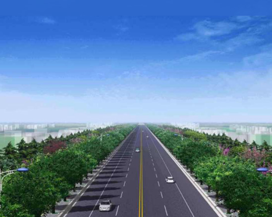 ʡ��S244�߹���